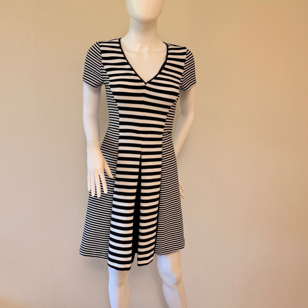 Banana Republic Striped Fit and Flare Dress Black White V-Neck Short Sleeve 2
